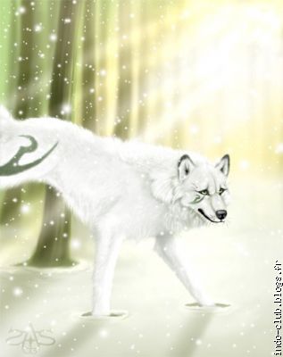 Loup blanc, de SAS