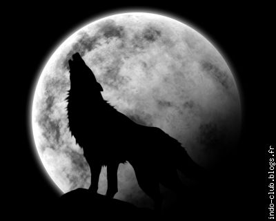 Voilà, la pleine lune...