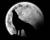 Voilà, la pleine lune...